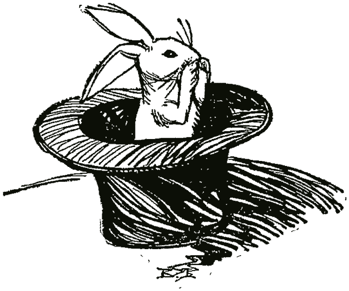 A rabbit looking out of a top hat
