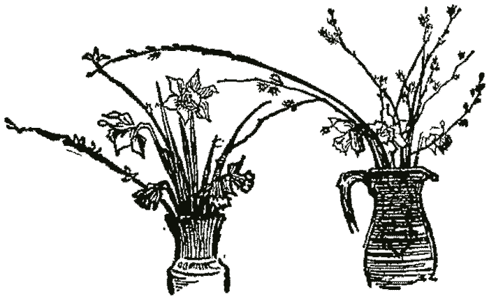 Two vases of flowers and leaves